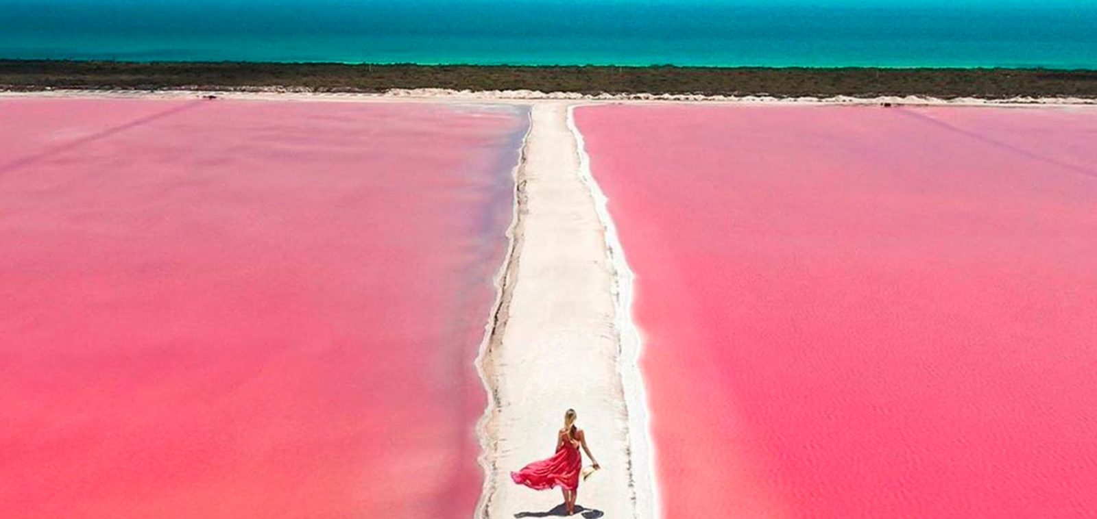 Río Lagartos y Las Coloradas