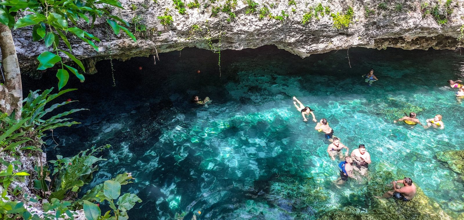 Tulum, Cenote y Tortugas